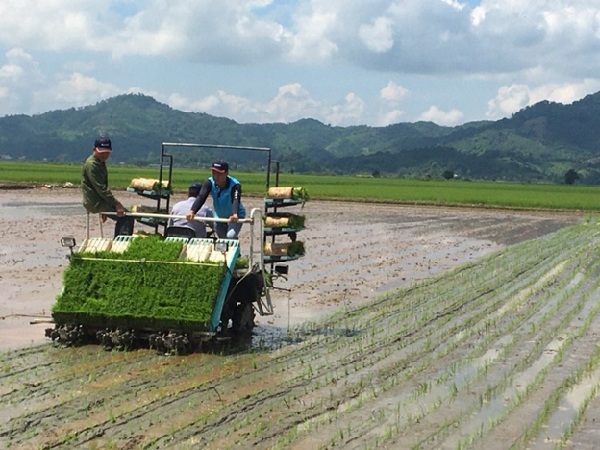 Máy cấy lúa công nghệ cao hướng đi mới cho người nông dân