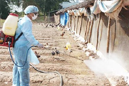 Huyện Lắk triển khai tháng vệ sinh, khử trùng, tiêu độc