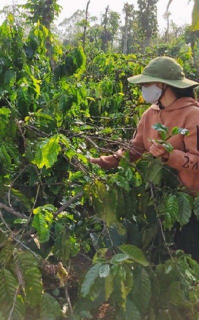 Gương hộ vay điển hình sử dụng hiệu quả nguồn vốn tín dụng chính sách