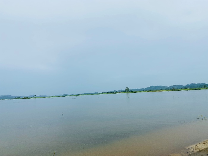 Hơn 1.600 ha lúa vụ Hè - Thu trên địa bàn huyện Lắk bị ngập trong biển nước