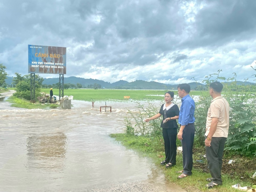 Mưa lớn kéo dài, gần 800 ha lúa và hoa mầu trên địa bàn huyện Lắk bị ngập trong nước